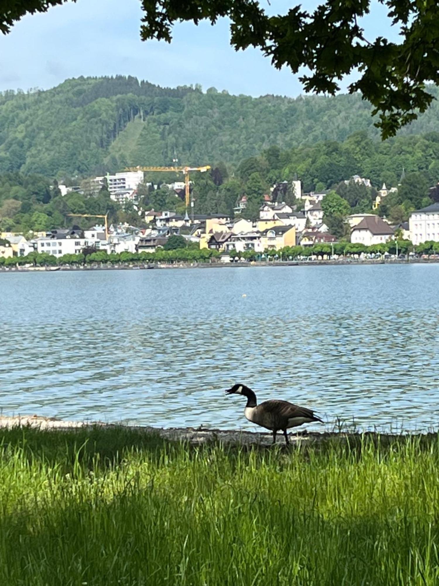 Altstadtjuwel In Gmunden Am Traunsee 외부 사진
