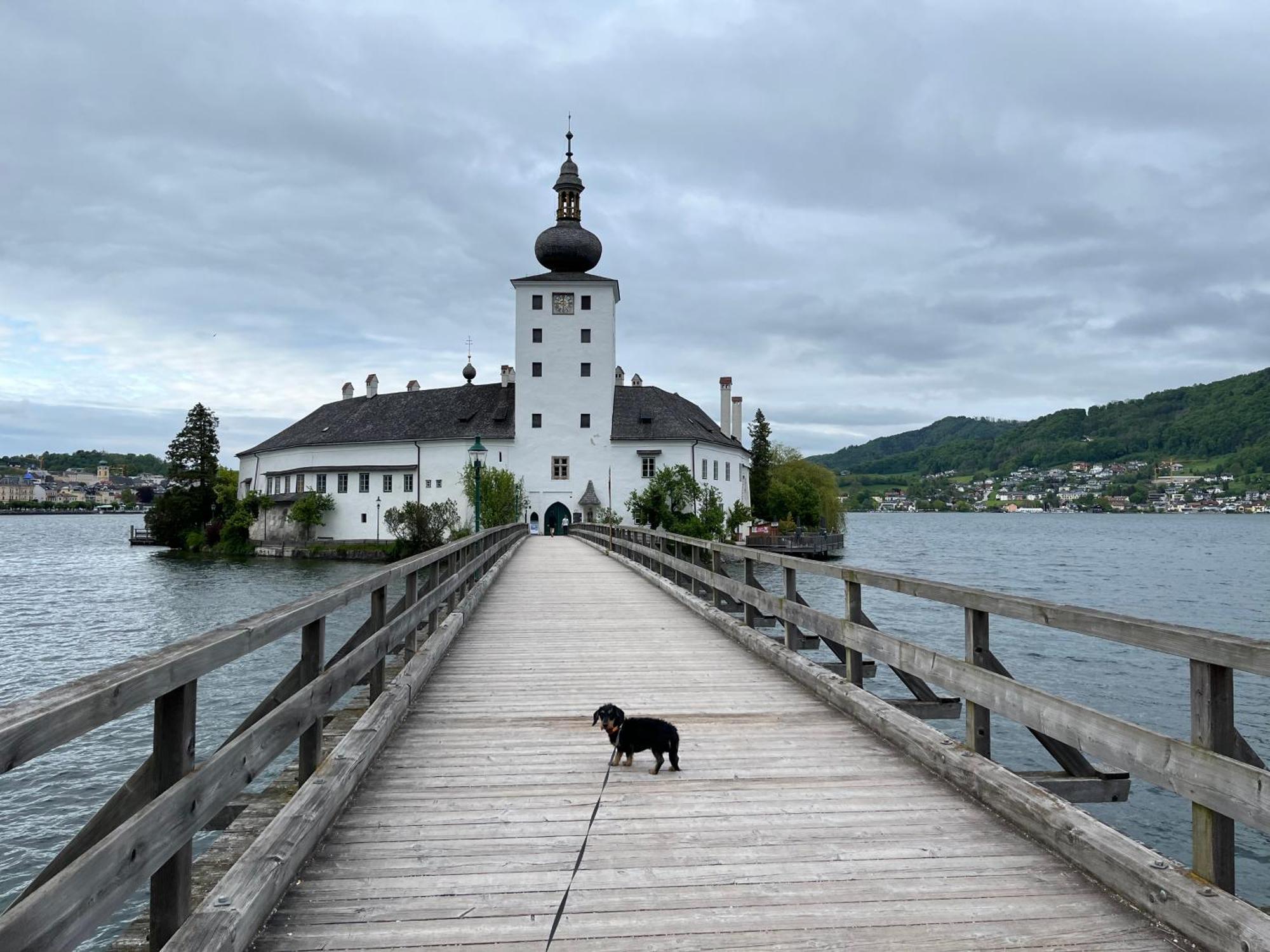 Altstadtjuwel In Gmunden Am Traunsee 외부 사진